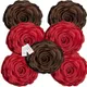 Maroon & Brown__INDOAMOR