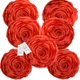 Red__INDOAMOR
