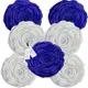 White & Blue__INDOAMOR