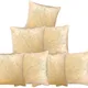 Beige__INDOAMOR