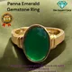 Green__Om Gayatri Corp
