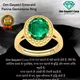 Green__Om Gayatri Corp