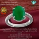 Green__Om Gayatri Corp