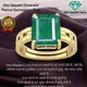 Green__Om Gayatri Corp