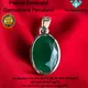 Green__Om Gayatri Corp