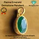 Green__Om Gayatri Corp