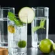 Set Of 12__Ficshop