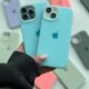 Blue__Bungo Cases