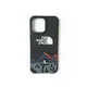 Black__Bungo Cases