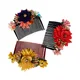 Multicolor__Accessher