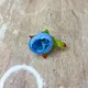 blue__Agrasen Flower