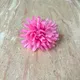 pink__Agrasen Flower