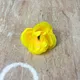 Yellow__Agrasen Flower