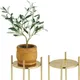 Soft Brass__LAVISH CRAFT
