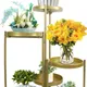 Gold__LAVISH CRAFT