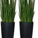 Pack of 2__LAVISH CRAFT