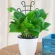 Pack of 12__Akifi Craft