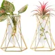 Pack of 2__LAVISH CRAFT