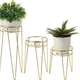 Soft Brass__LAVISH CRAFT