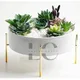 White__LAVISH CRAFT