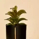 Single, Small__Akifi Craft