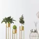 Gold__LAVISH CRAFT