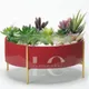 Red__LAVISH CRAFT