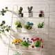 White__LAVISH CRAFT