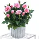 Pack of 1__LAVISH CRAFT
