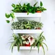 White__Akifi Craft