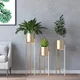 Gold__LAVISH CRAFT