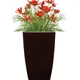 Brown__LAVISH CRAFT