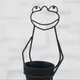 Frog__Akifi Craft