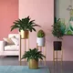 Multicolour__LAVISH CRAFT