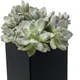 Black__Akifi Craft