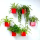 Red__LAVISH CRAFT
