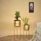 Gold__LAVISH CRAFT