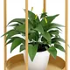 Gold__LAVISH CRAFT