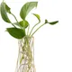Pack of 1__LAVISH CRAFT