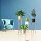 Multicolour__LAVISH CRAFT