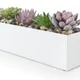 White__LAVISH CRAFT
