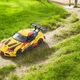 YELLOW__TGI