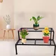 2 FT__Creativity Homes