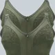 GREEN__Fanzoh