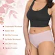 Light Grey__Clovy