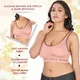 Pink__Clovy