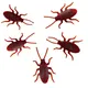 Pack Of 5__ABDROZ