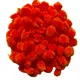 Orange__ABDROZ