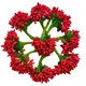 Red__ABDROZ