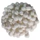 White__ABDROZ